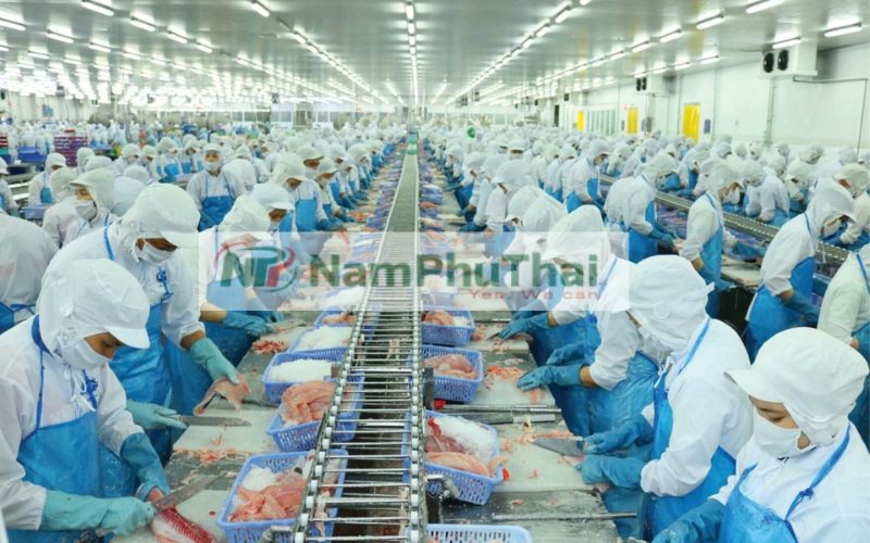 mạ băng thực phẩm là gì
