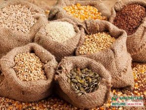 Phương pháp bảo quản hạt giống đúng cách