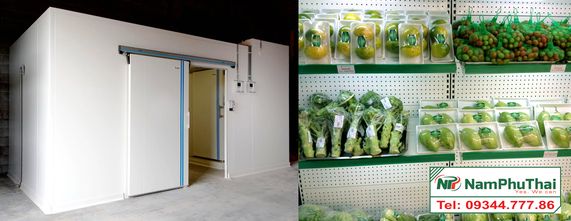 Thi công thiết kế kho lạnh bảo quản thực phẩm
