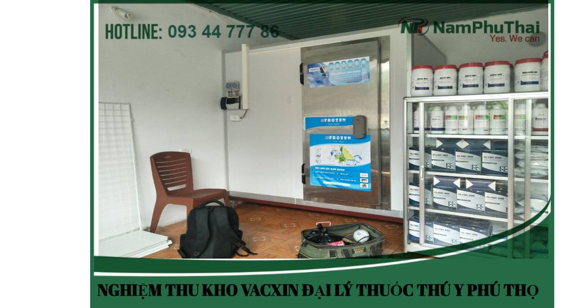 KHO VACXIN ĐẠI LÝ THUỐC THÚ Y PHÚ THỌ 6m³