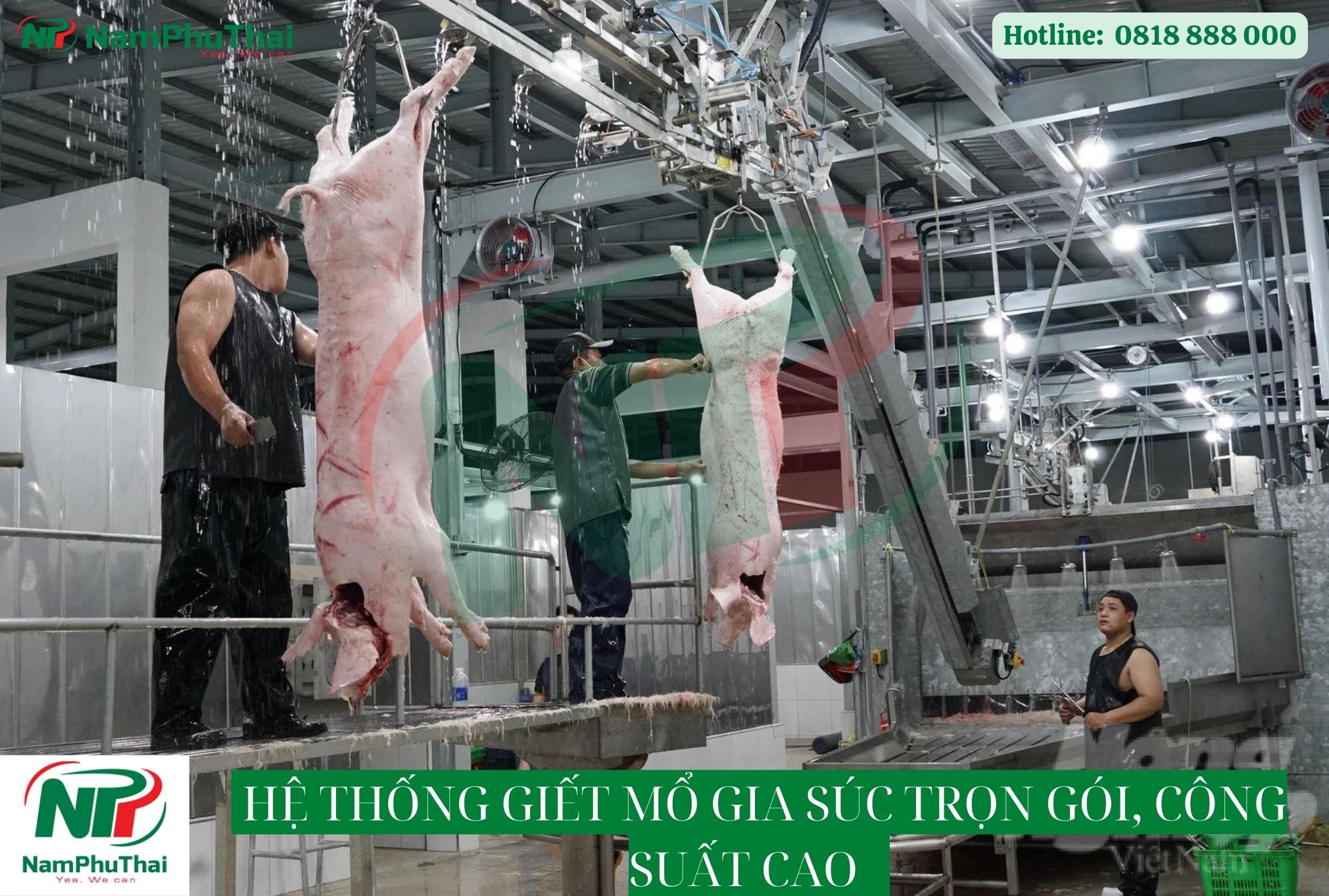 THI CÔNG HỆ THỐNG GIẾT MỔ GIA SÚC TRỌN GÓI CÔNG SUẤT CAO