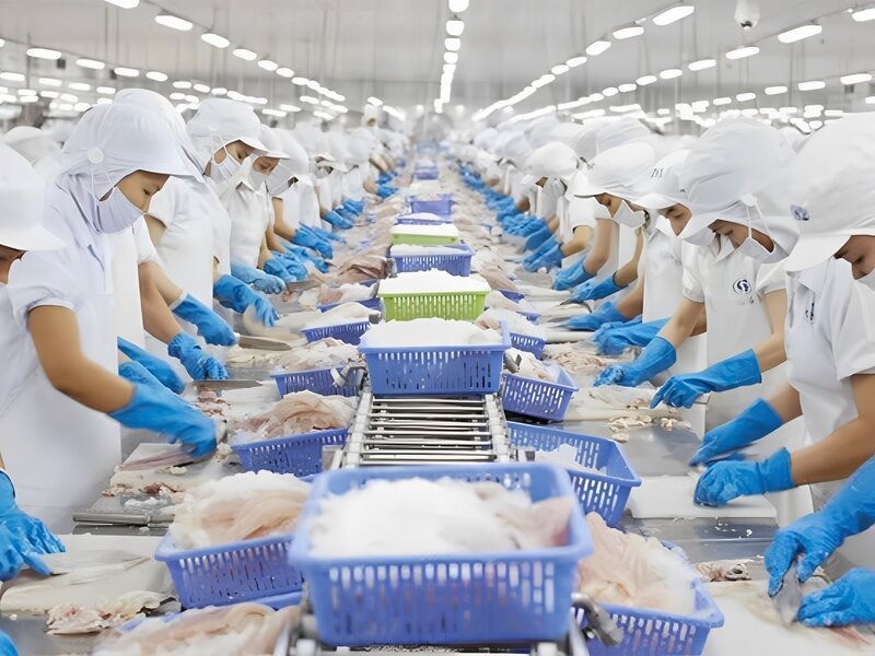 So sánh các phương pháp bảo quản thuỷ hải sản phổ biến hiện nay