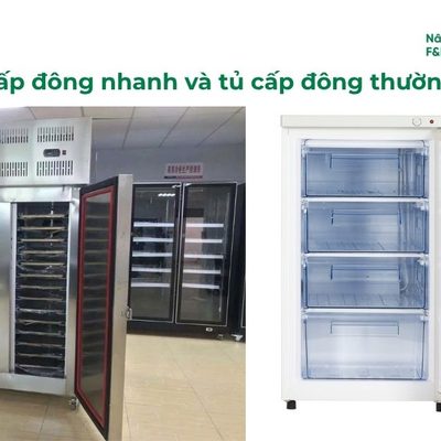 Tủ cấp đông nhanh và tủ đông thường: 7 hiểu lầm phổ biến