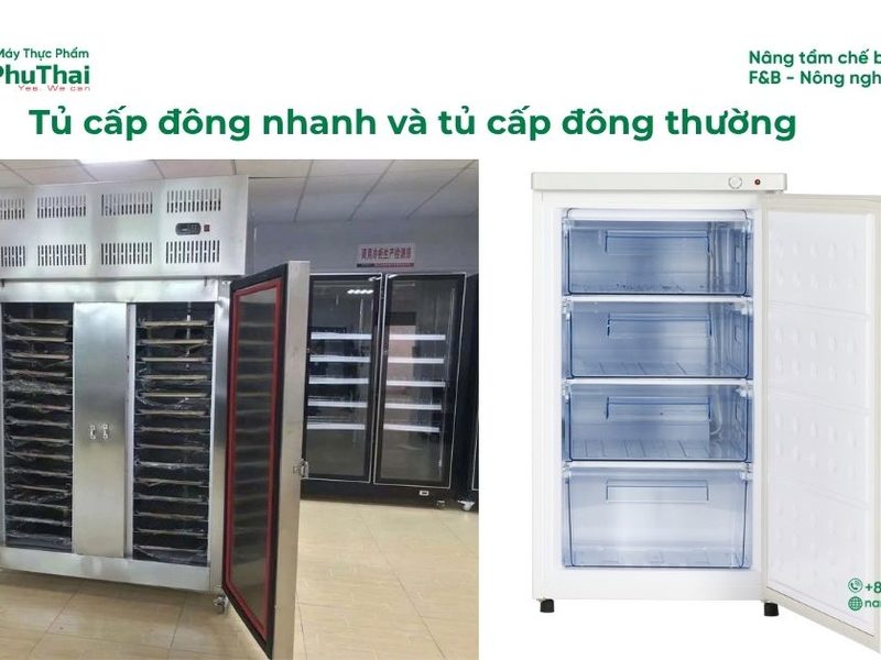 Tủ cấp đông nhanh và tủ đông thường: 7 hiểu lầm phổ biến
