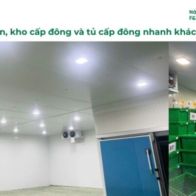 Kho lạnh bảo quản, kho cấp đông và tủ cấp đông nhanh khác nhau thế nào?