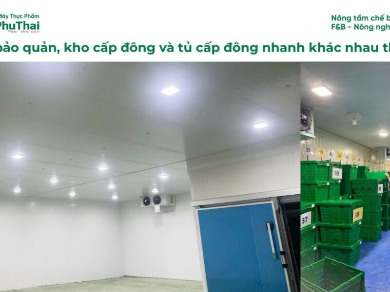 Kho lạnh bảo quản, kho cấp đông và tủ cấp đông nhanh khác nhau thế nào?