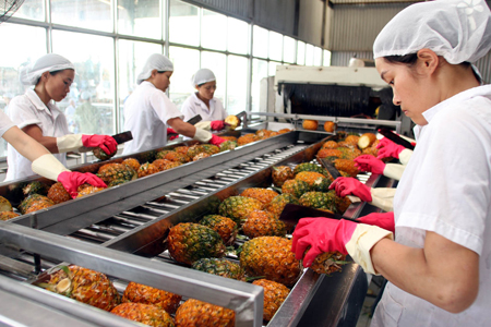 Máy chế biến bảo quản thịt