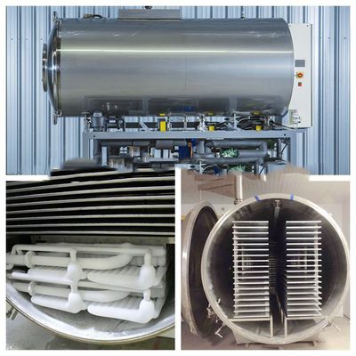Công nghệ sấy thăng hoa – Nâng cao chất lượng nông sản